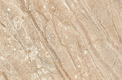 Ceramic Wall Tiles