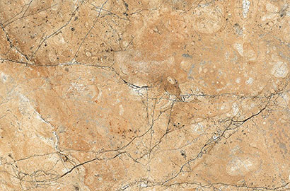 Ceramic Wall Tiles