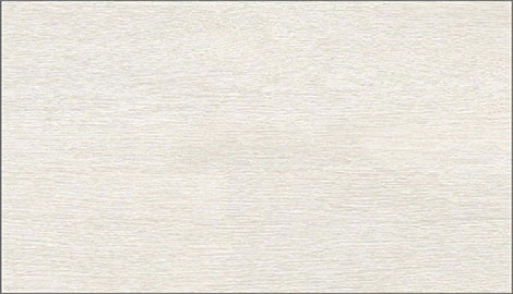 Ceramic Wall Tiles